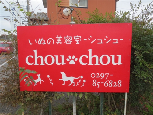 写真1